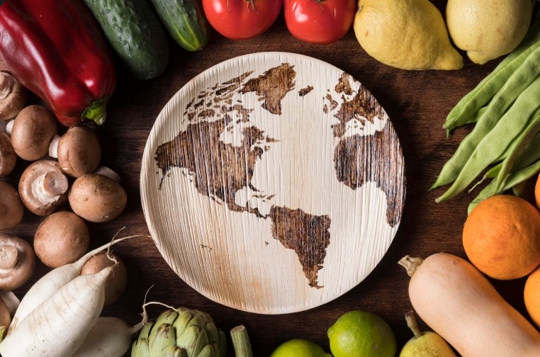 Global Health Policy Implementation: 2026 U.S. Roadmap