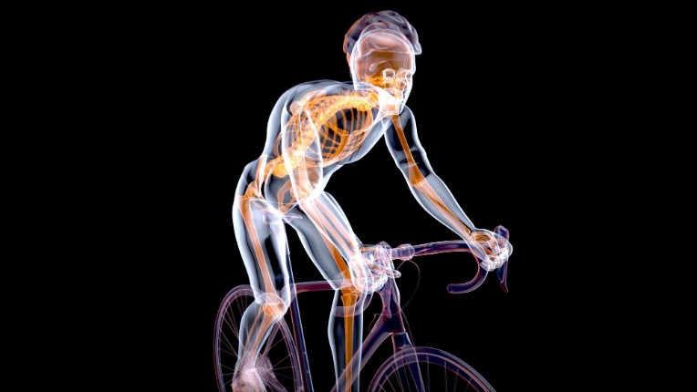 Biomechanical Engineering Proves Liability in Low-Speed Crashes